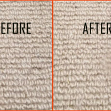carpet-cleaning-brisbane01